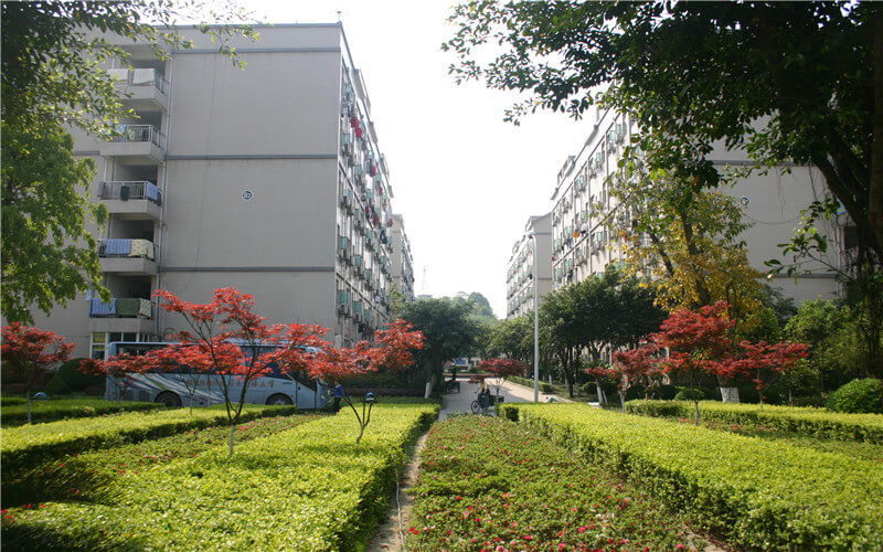 重庆对外经贸学院