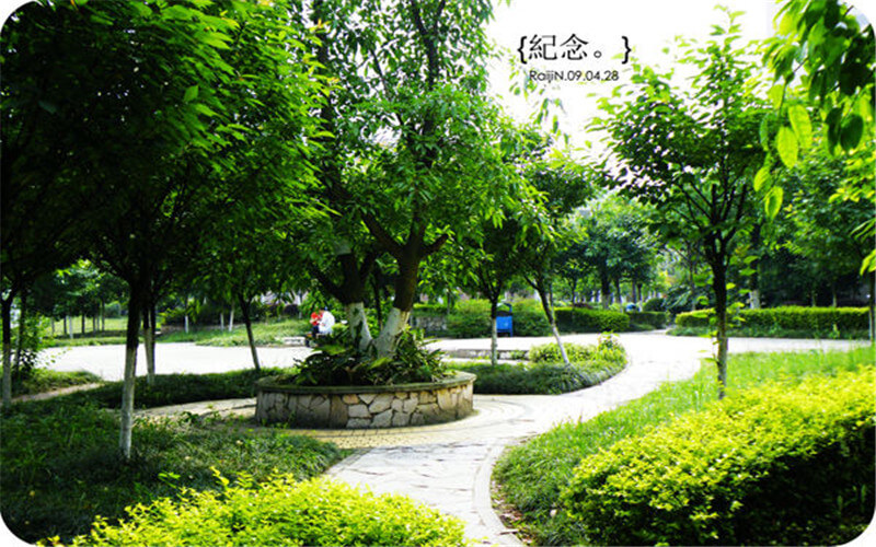 重庆对外经贸学院