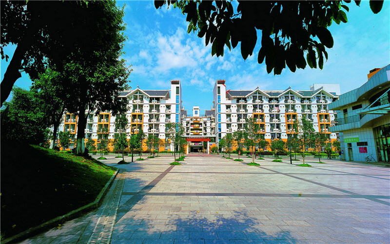 重庆科技大学