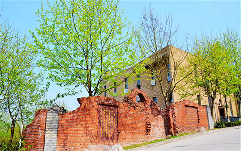 重庆机电职业技术大学