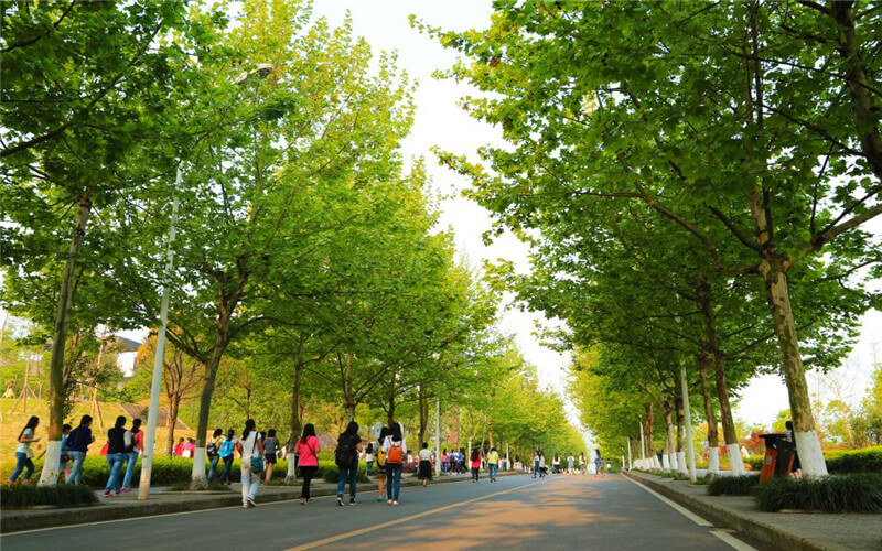 重庆医药高等专科学校