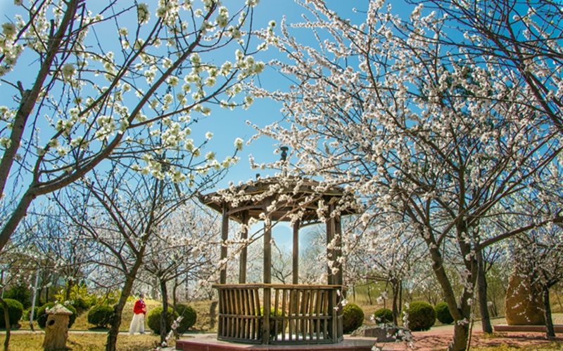 辽宁工程技术大学