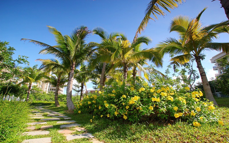 海南热带海洋学院