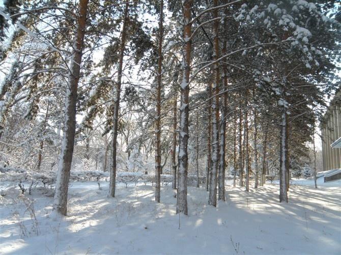 齐齐哈尔理工职业学院