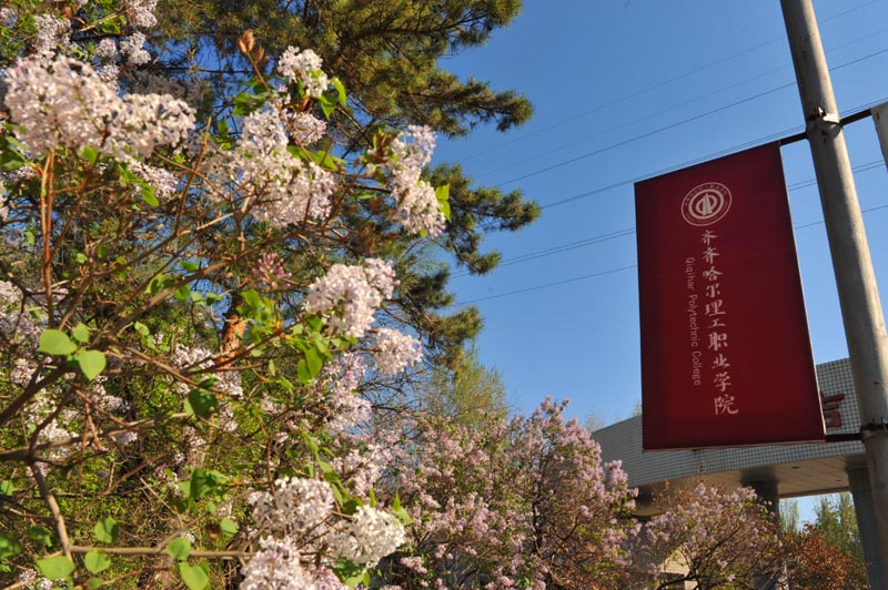 齐齐哈尔理工职业学院