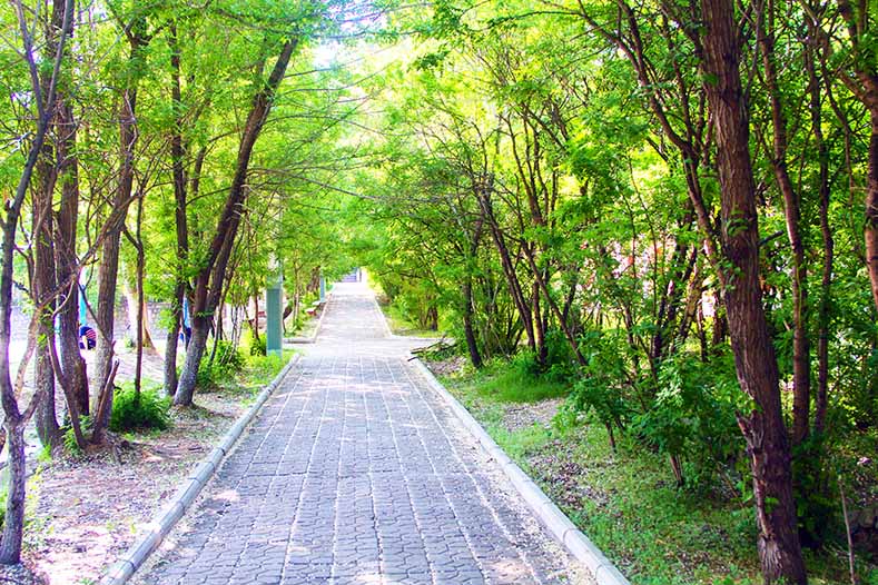 黑龙江工业学院