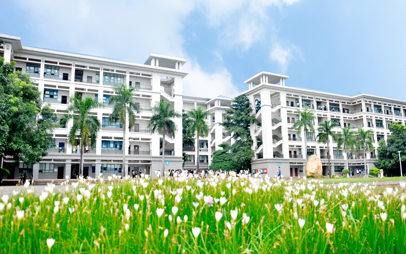 广东外语外贸大学南国商学院