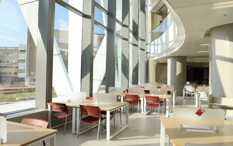 北师香港浸会大学