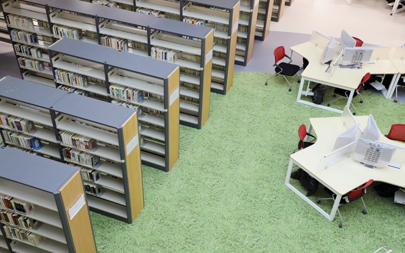 北师香港浸会大学