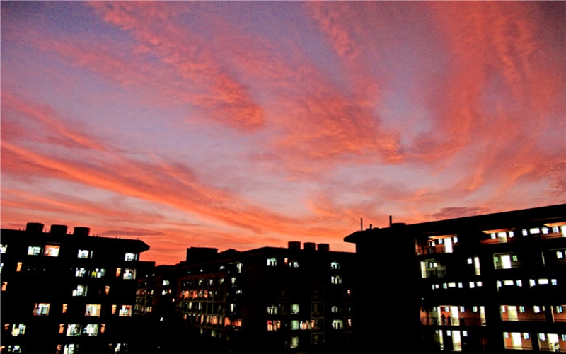 惠州城市职业学院