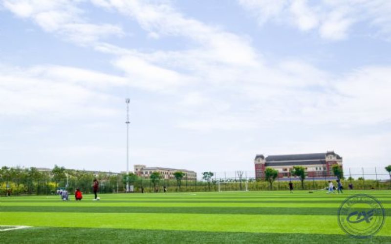 大连工业大学艺术与信息工程学院