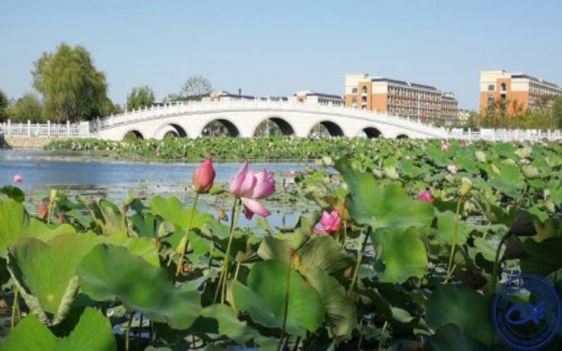 大连工业大学艺术与信息工程学院