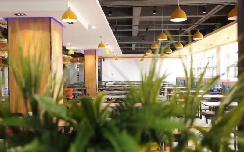 大连外国语大学