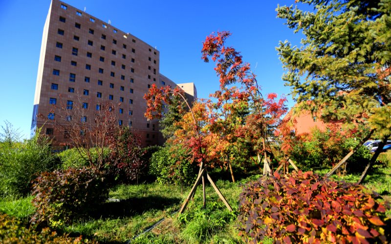 呼伦贝尔职业技术学院