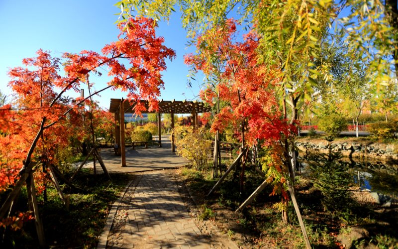 呼伦贝尔职业技术学院