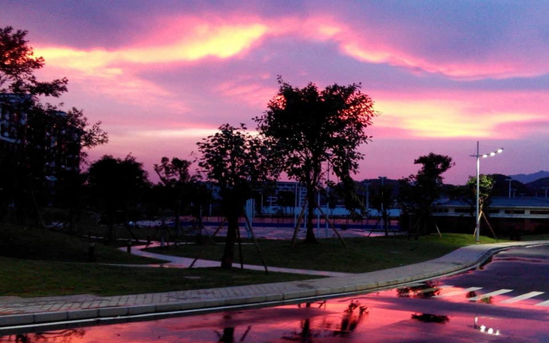 广东碧桂园职业学院