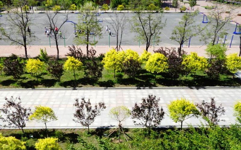 吉林科技职业技术学院