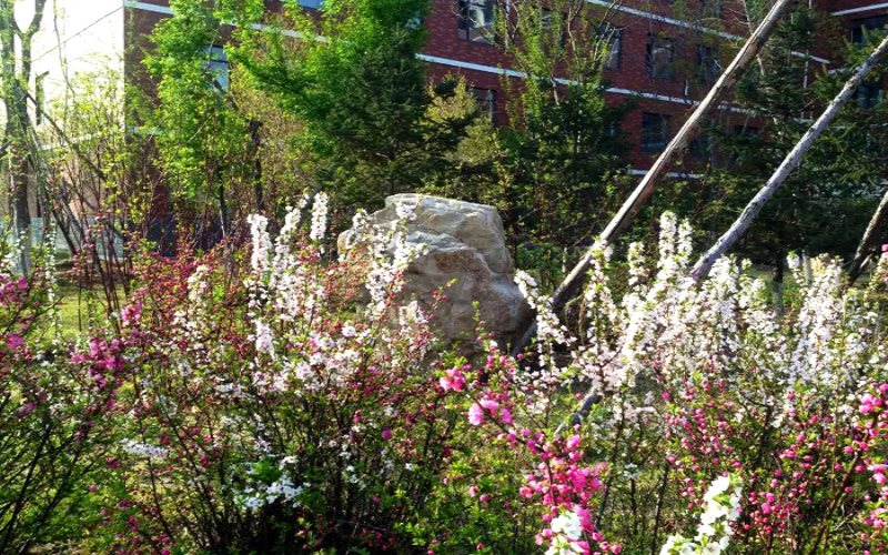 吉林科技职业技术学院