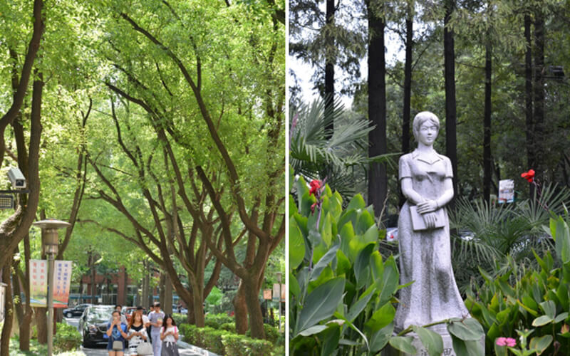 上海科学技术职业学院