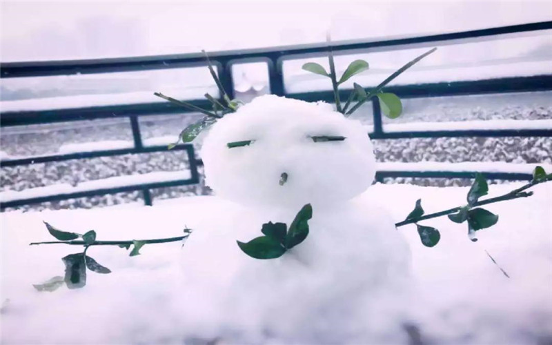 长沙民政职业技术学院