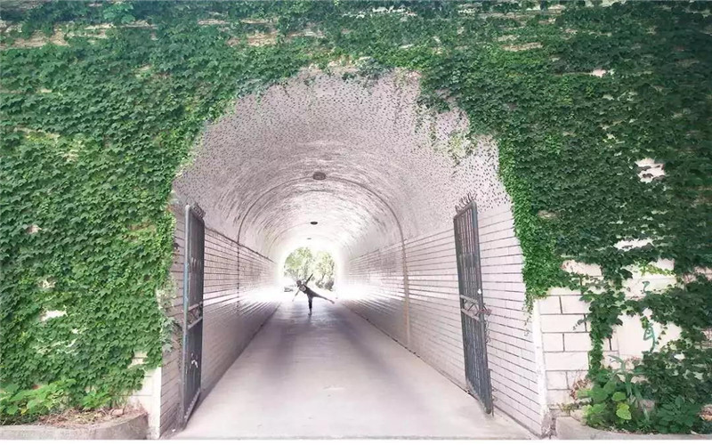 长沙民政职业技术学院