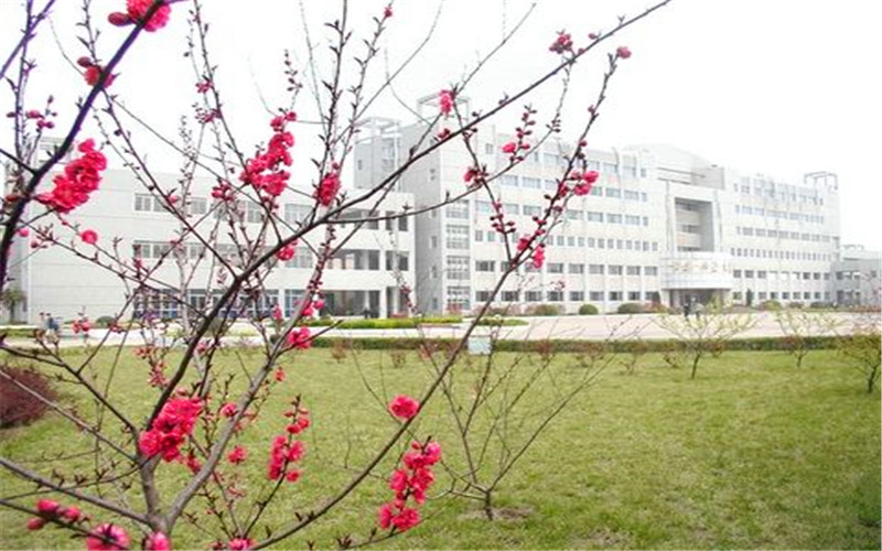 阜阳理工学院