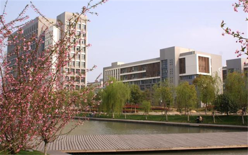 合肥大学