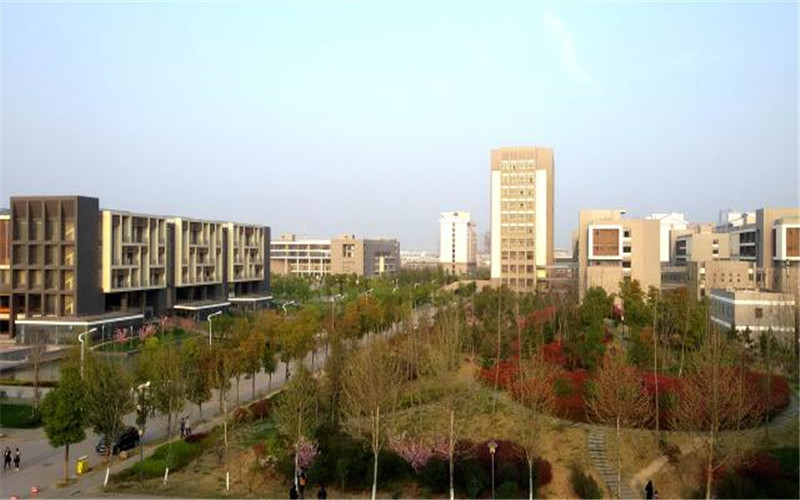 合肥大学