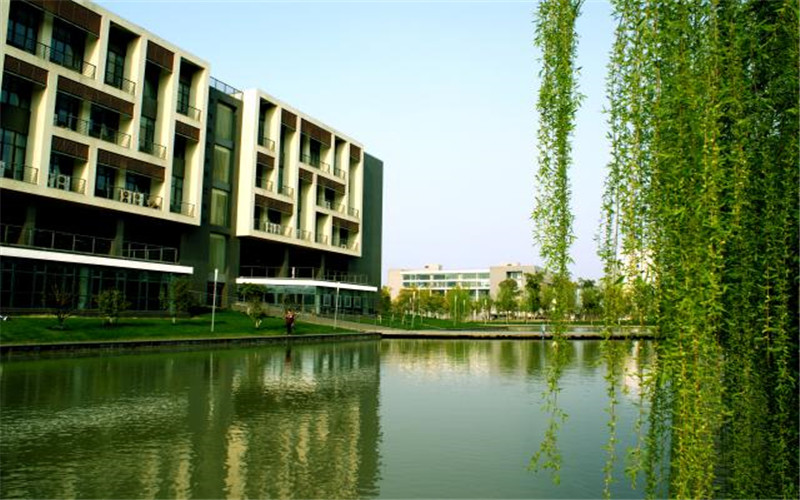 合肥大学