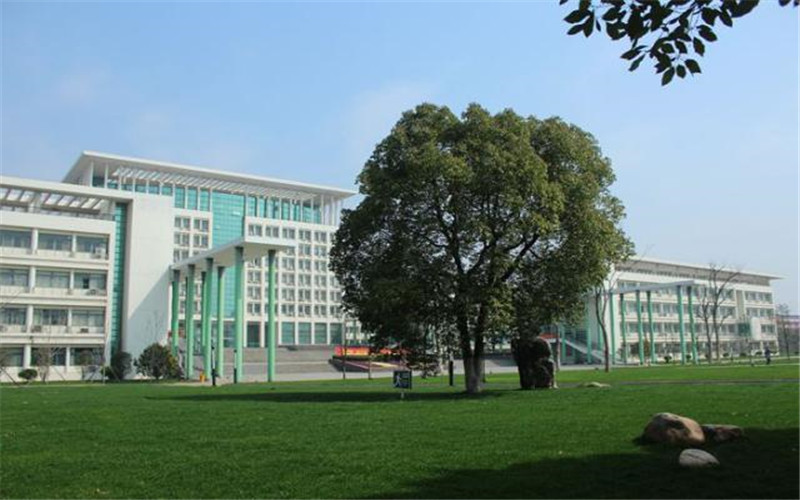 合肥大学