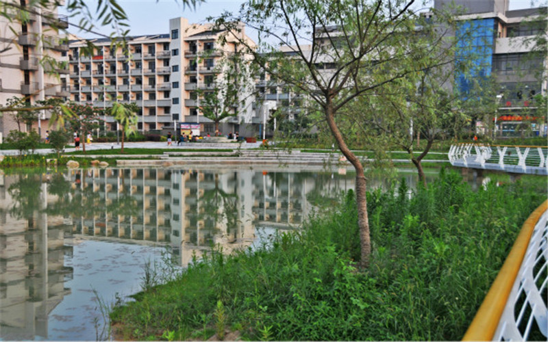 安徽体育运动职业技术学院