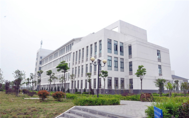 合肥城市学院