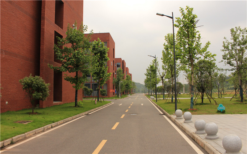 湖北师范大学文理学院