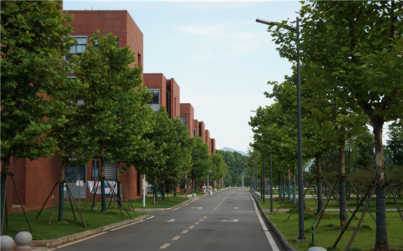 湖北师范大学文理学院