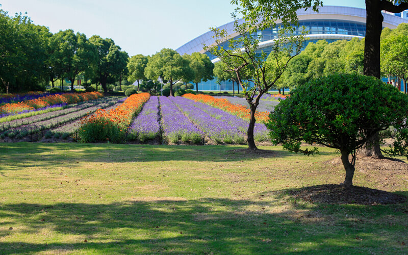 上海视觉艺术学院