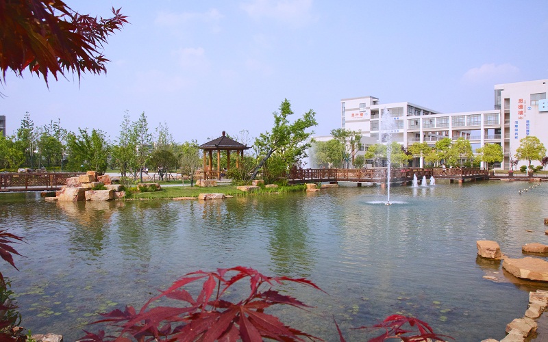 安徽国际商务职业学院