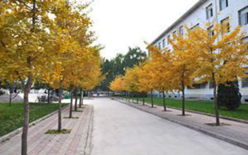 山西林业职业技术学院