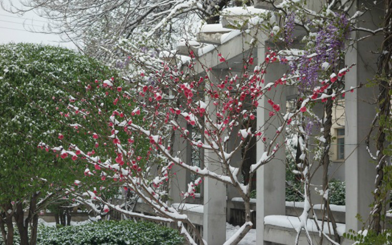 山西铁道职业技术学院