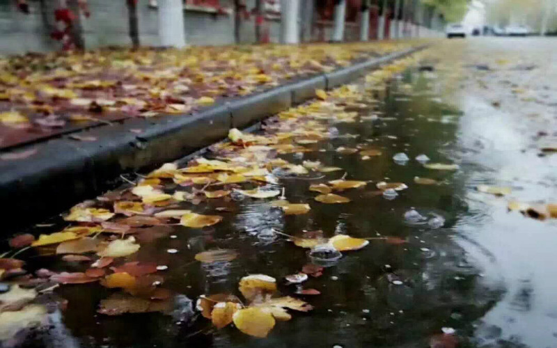 北京科技大学天津学院