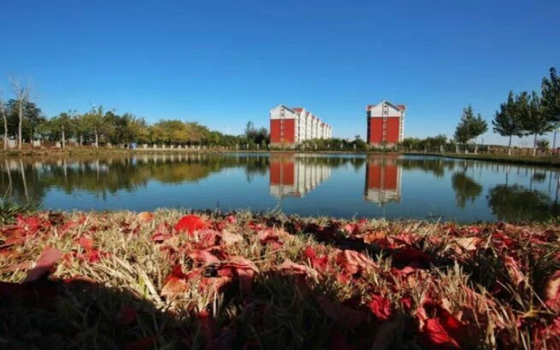 天津财经大学珠江学院