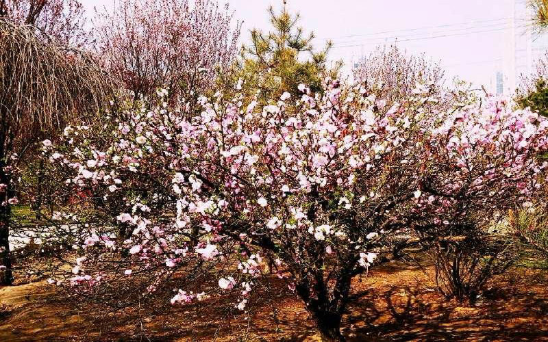 山西体育职业学院