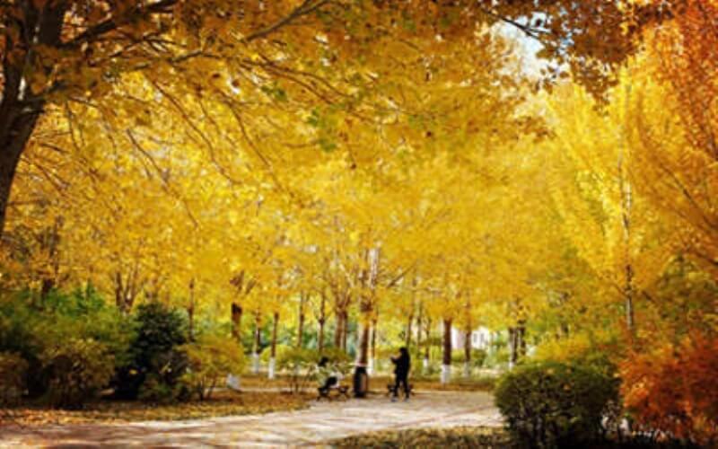 哈尔滨广厦学院