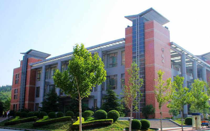 山东大学