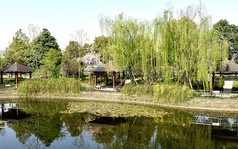 成都工贸职业技术学院