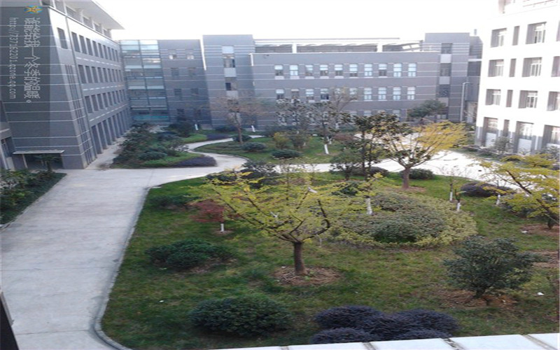 安徽涉外经济职业学院