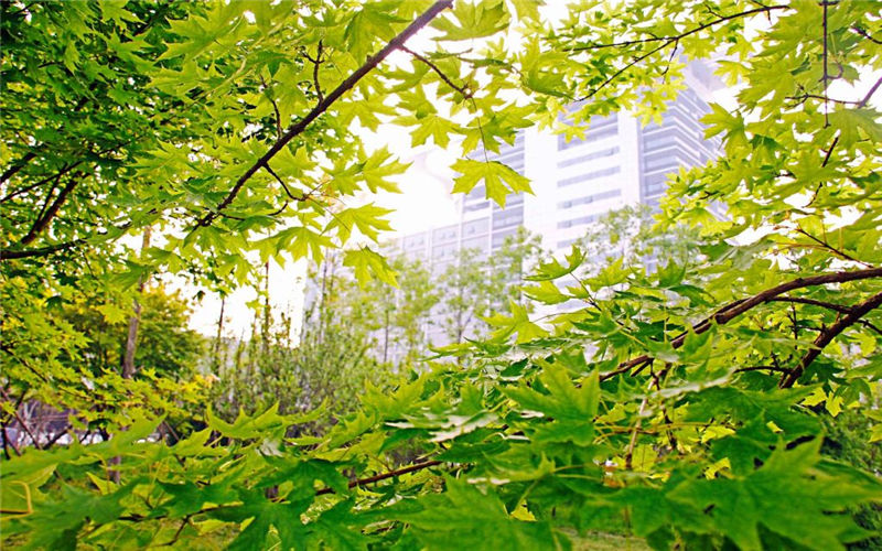 中国石油大学（华东）