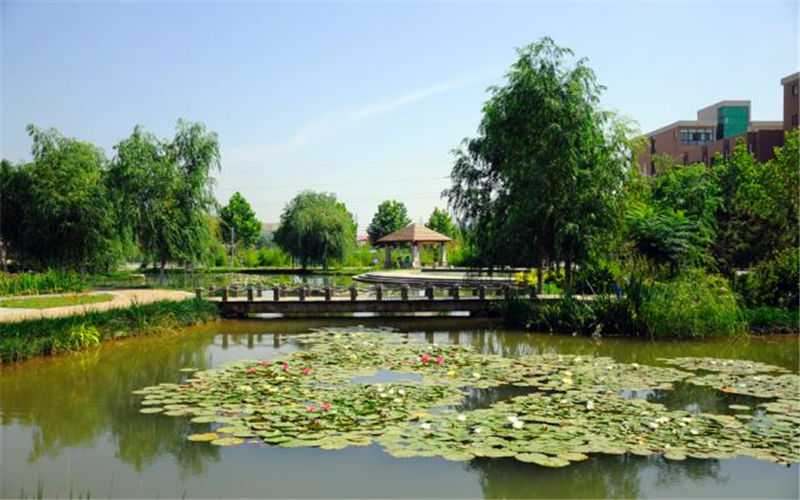 烟台汽车工程职业学院