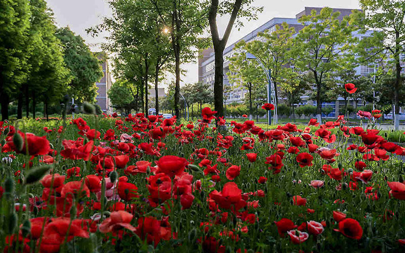 江苏电子信息职业学院