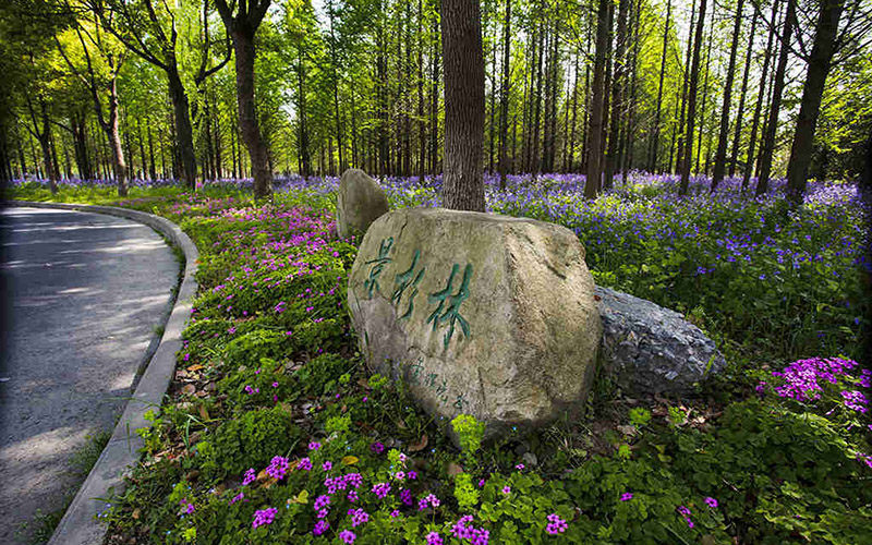 江苏电子信息职业学院