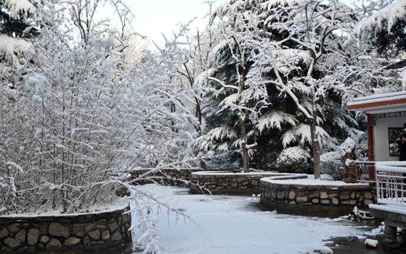 中国劳动关系学院